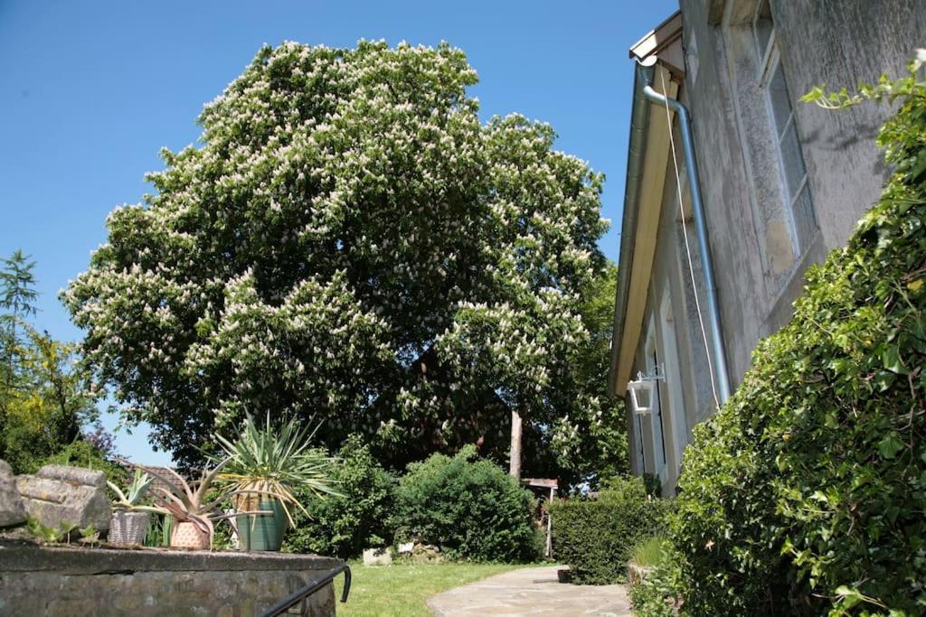 Haus Keppelborg: Zi Ferdinand Mit Rosengartenblick Heek Bagian luar foto